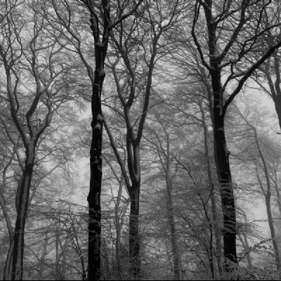 91)
